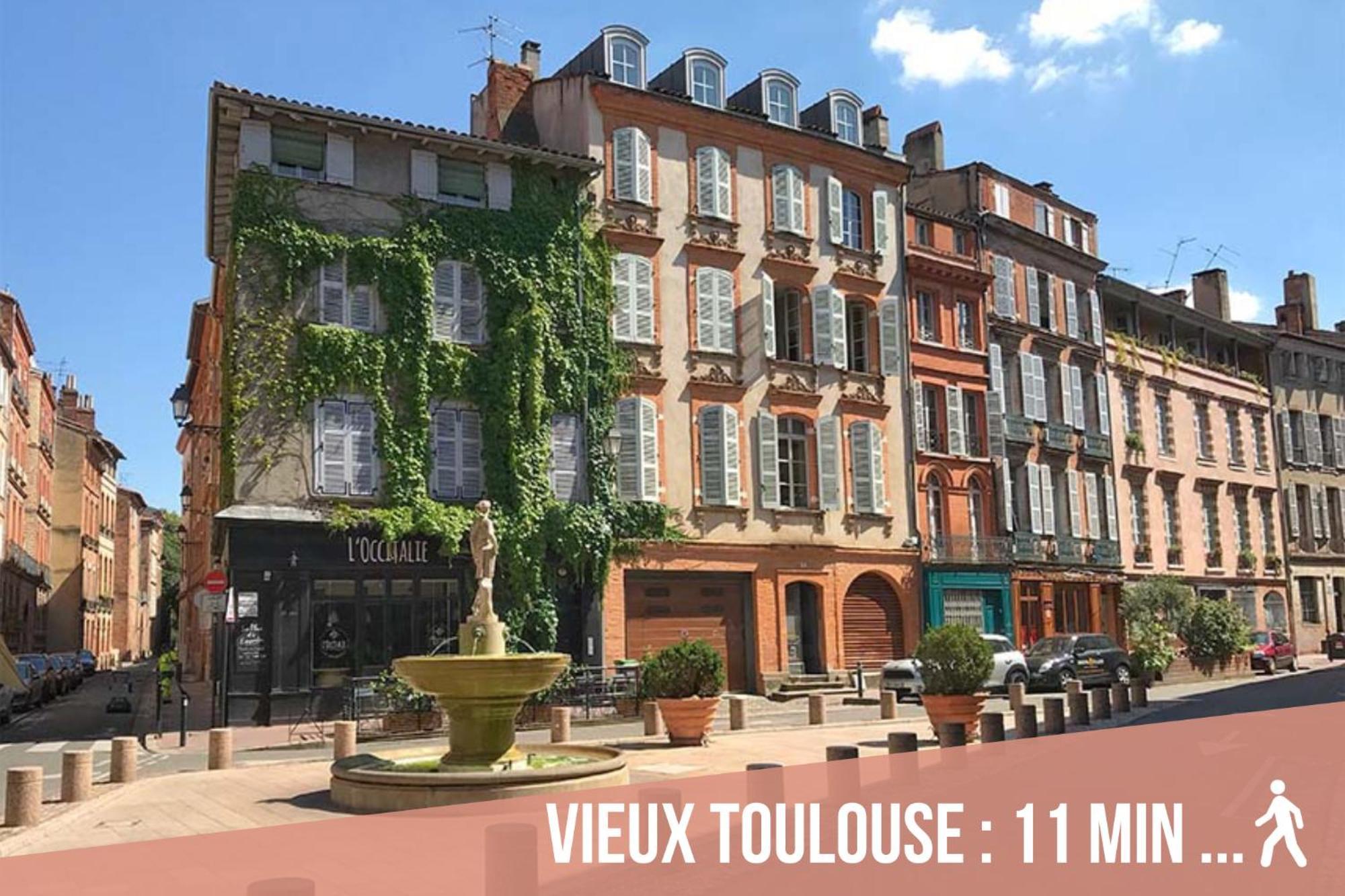 Апартаменти Chartreuse, Clim, Parking, Terrasse Au Calme Тулуза Екстер'єр фото